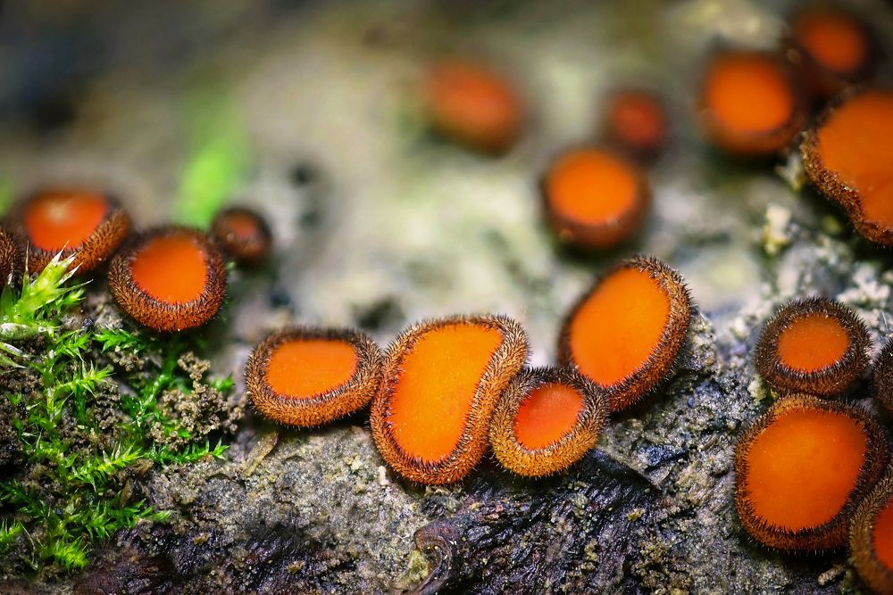 Photograph by Сергей Прокофьев