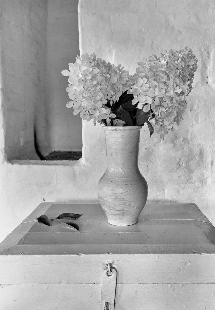 Photograph by Kuzmichev Alexey