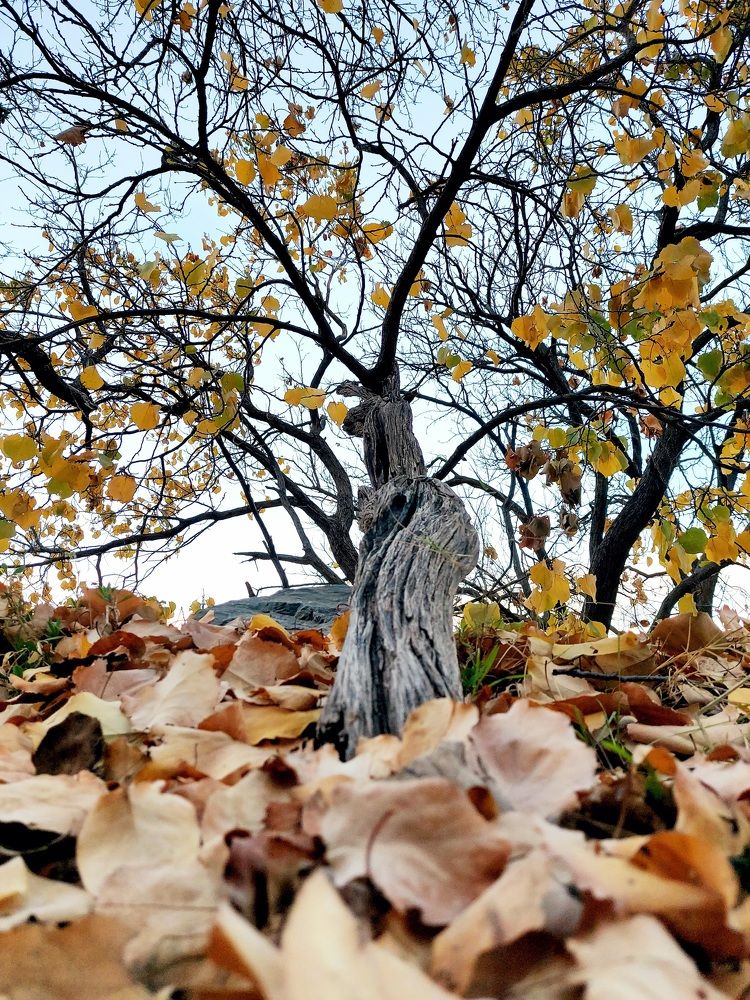 Фотография автора Vijay Jadhav