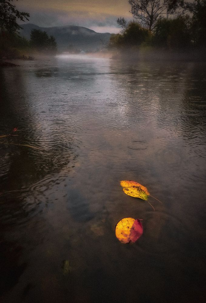 Photograph by Наталья Чередниченко