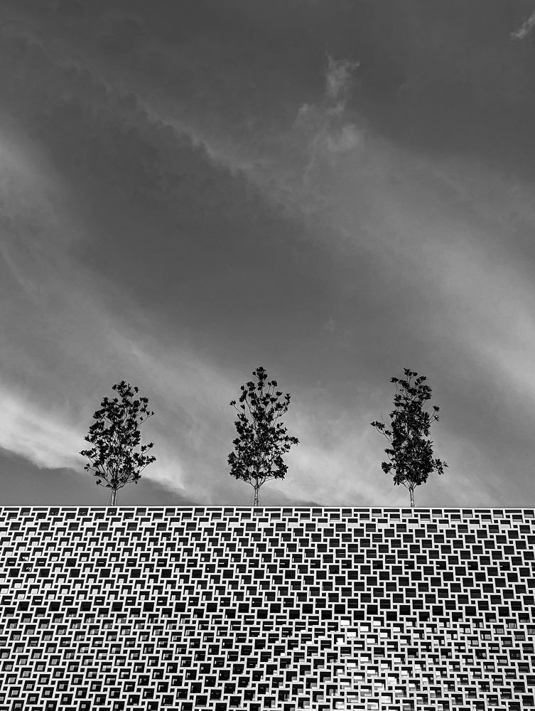 Photograph by Uliana Volegova