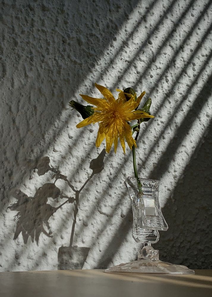 Photograph by Надежда Смирнова