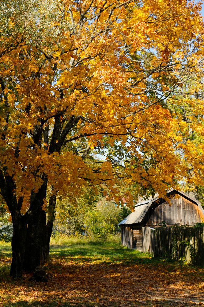 Photograph by Елена Буканина