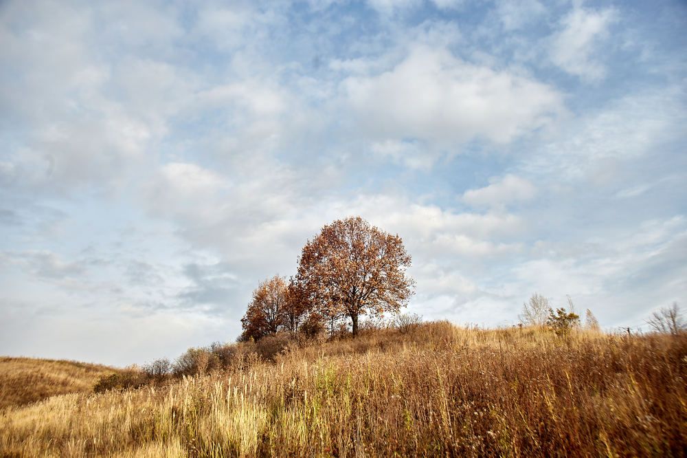 Photograph by Igor Kochkin