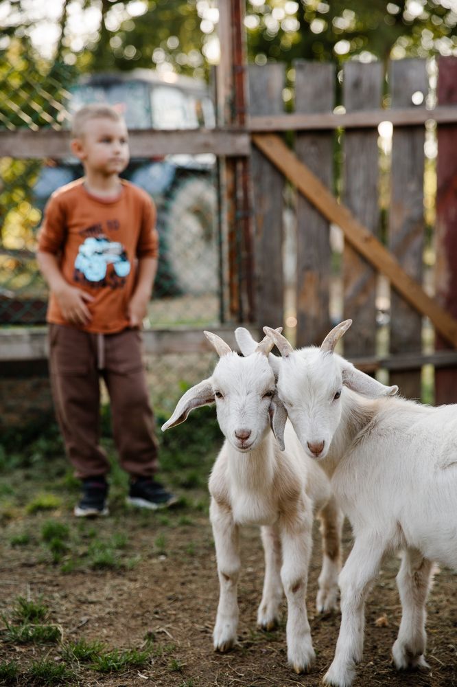 Photograph by Мария Торговцева
