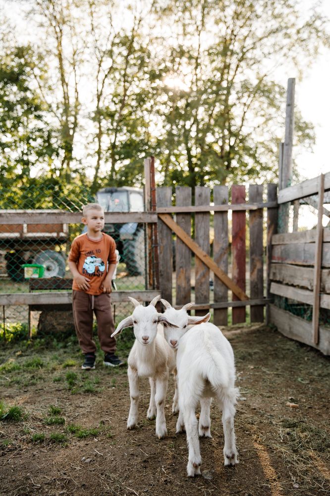 Photograph by Мария Торговцева