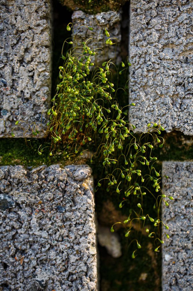 Фотография автора Мария Парамиди