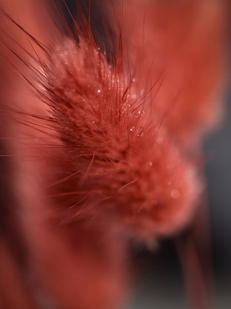 Photograph by Алексей Петров