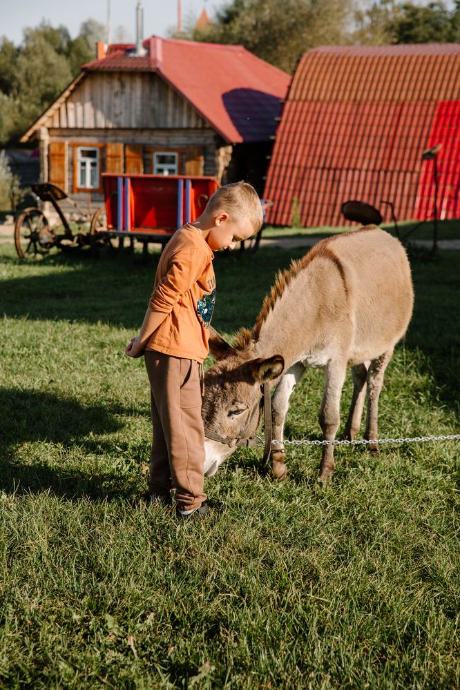 Photograph by Леонид Торговцев