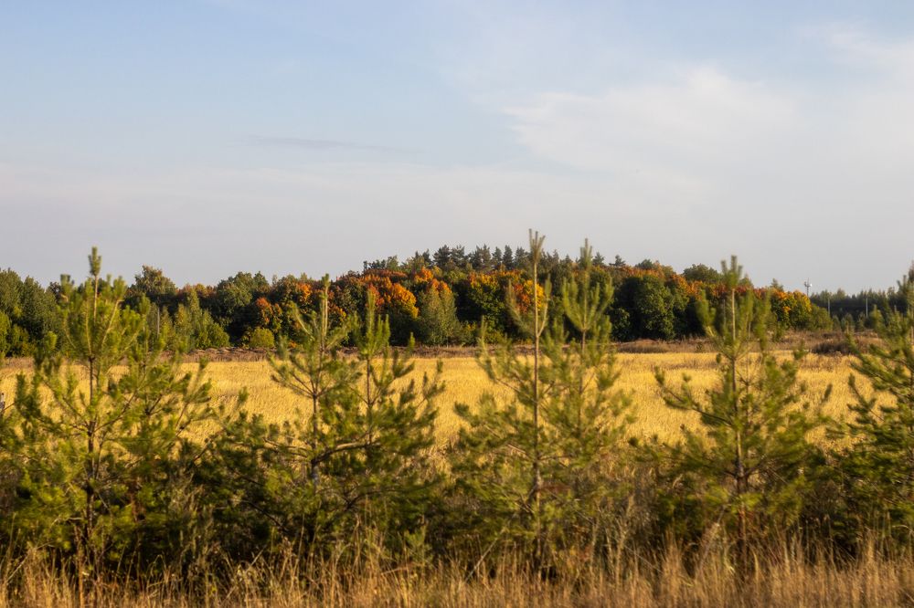 Photograph by Елена Андреевна