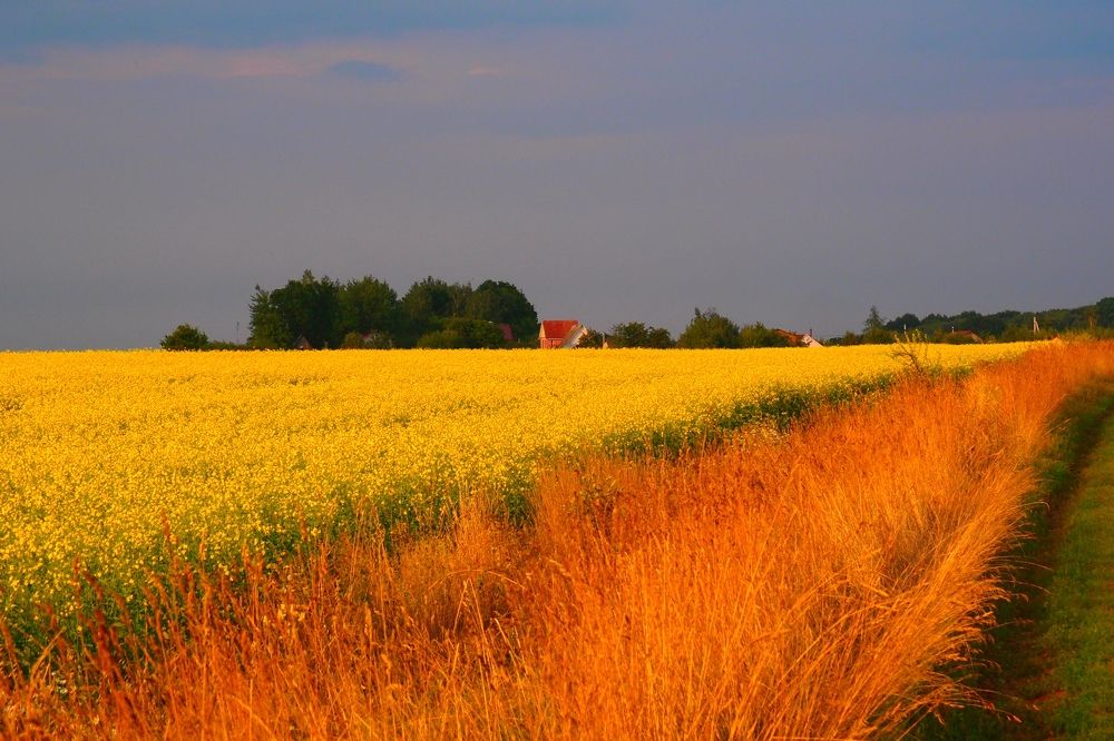 Photograph by Бамблевская Любовь Игоревна