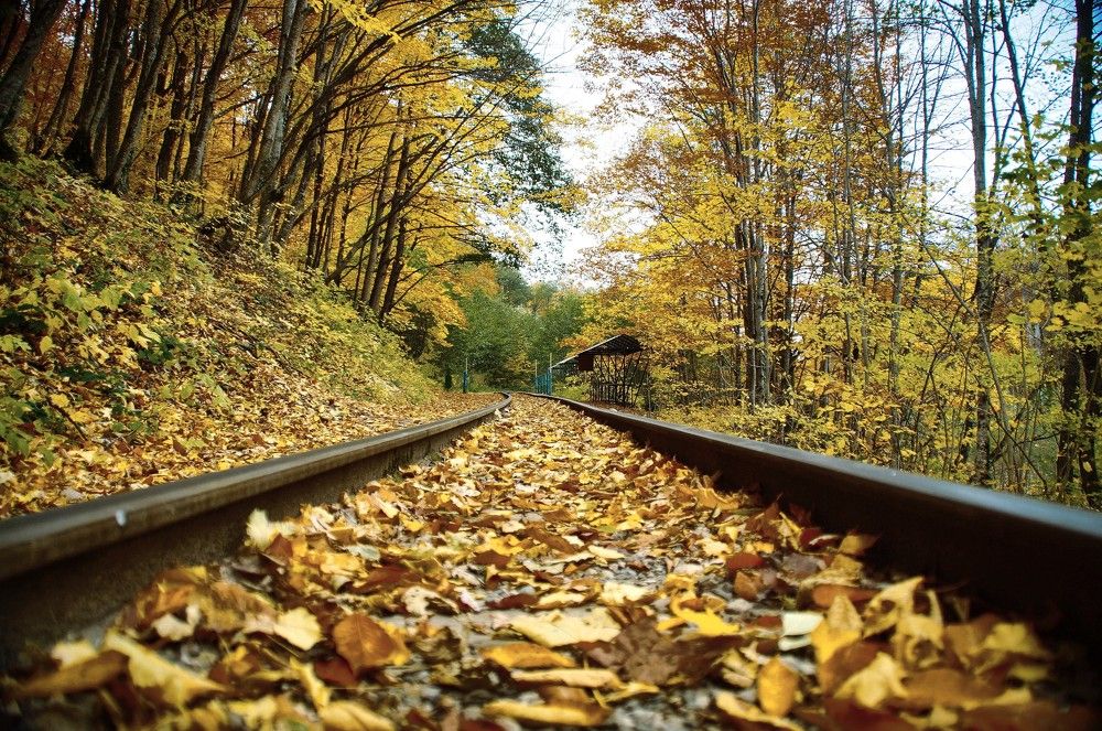 Photograph by Андрей Евтеев