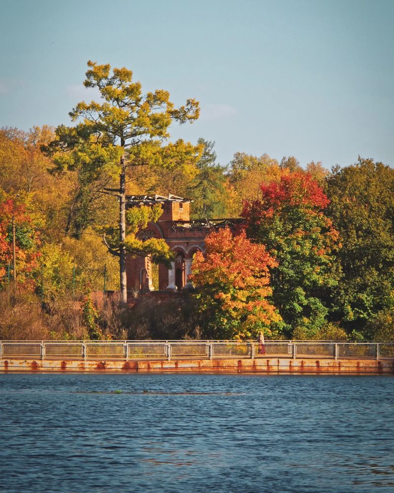 Photograph by Елена Щитова