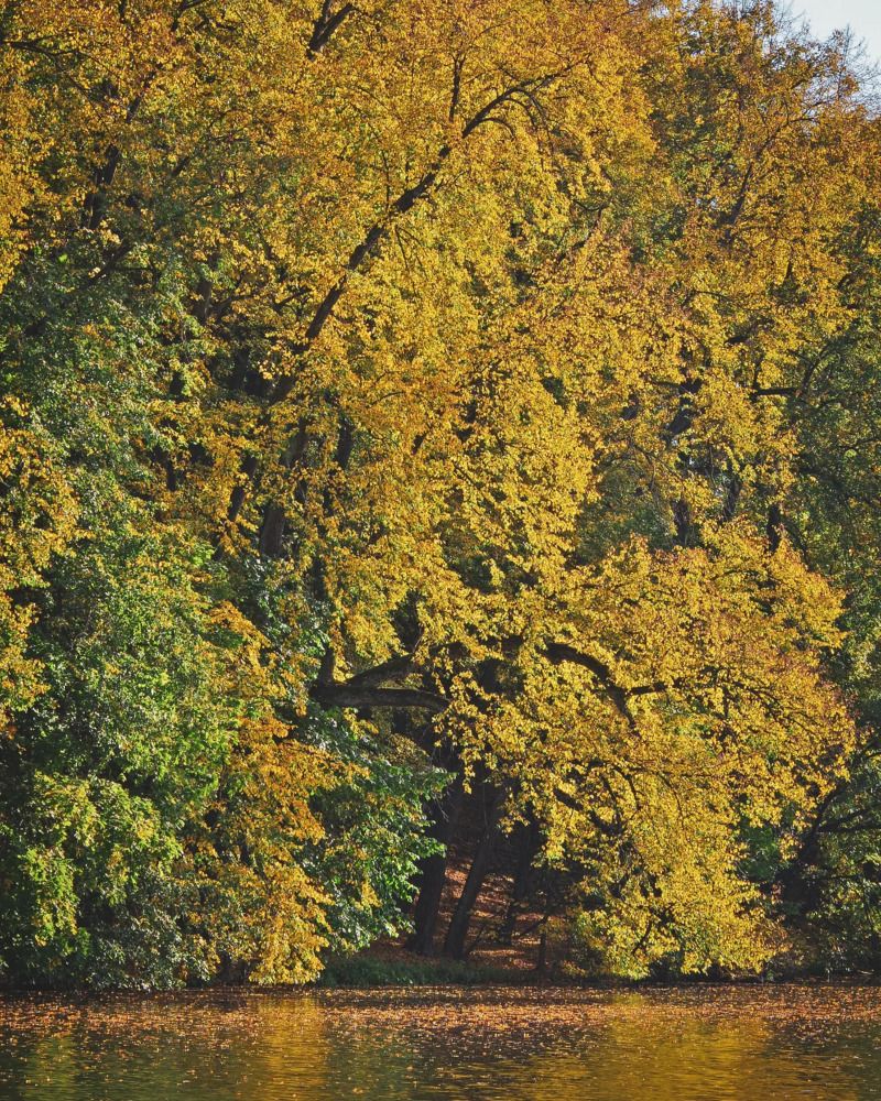 Photograph by Елена Щитова