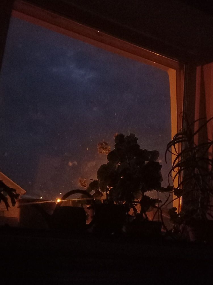 Фотография автора Мария Боровикова