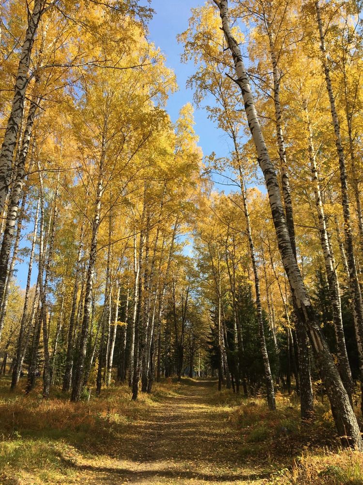 Photograph by Татьяна Унал