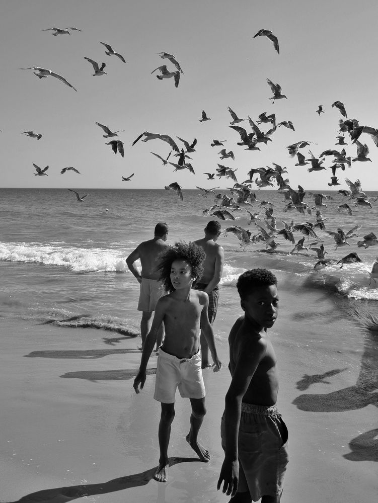 Photograph by Zydrune