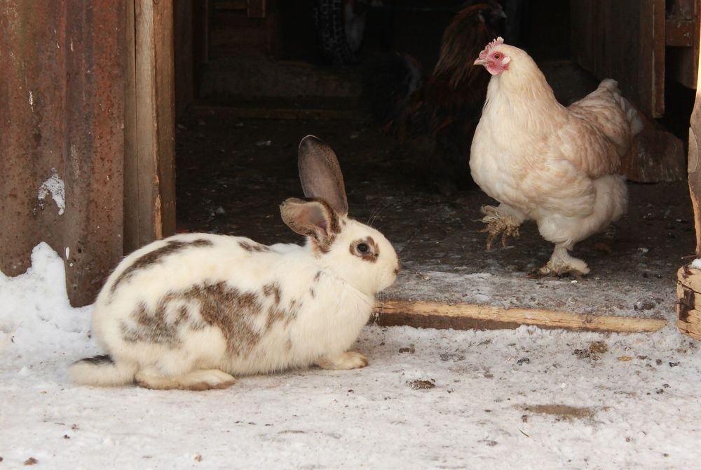 Photograph by Марина Юрченко