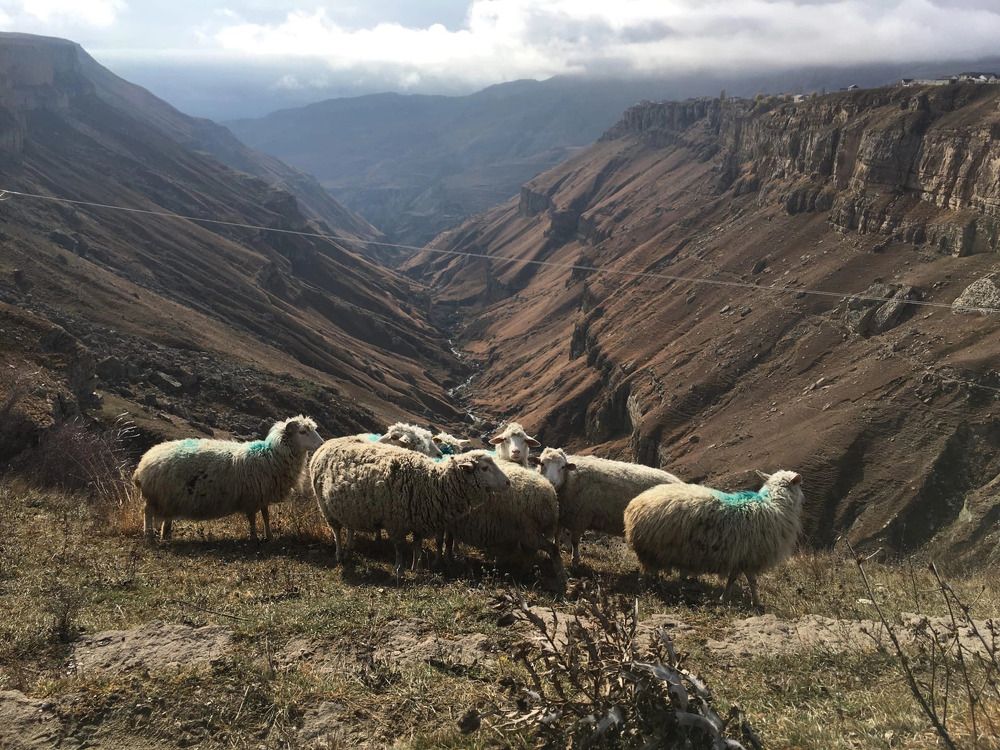 Photograph by Татьяна Унал