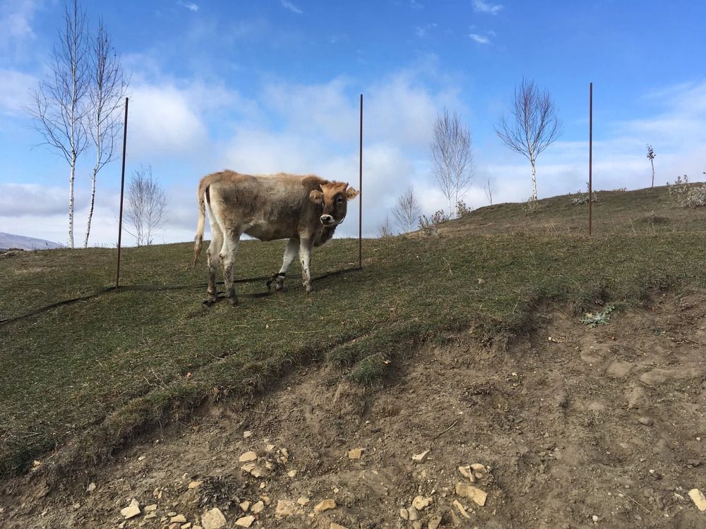 Photograph by Татьяна Унал