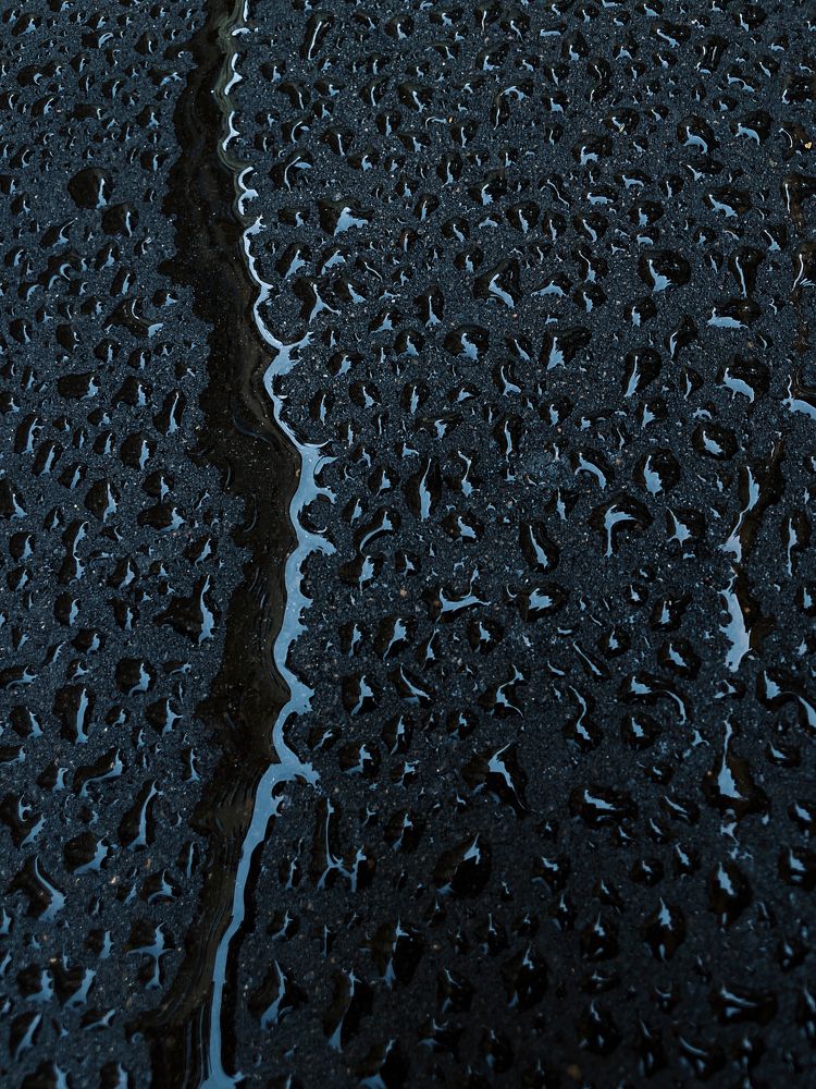 Photograph by Мария Байбарина