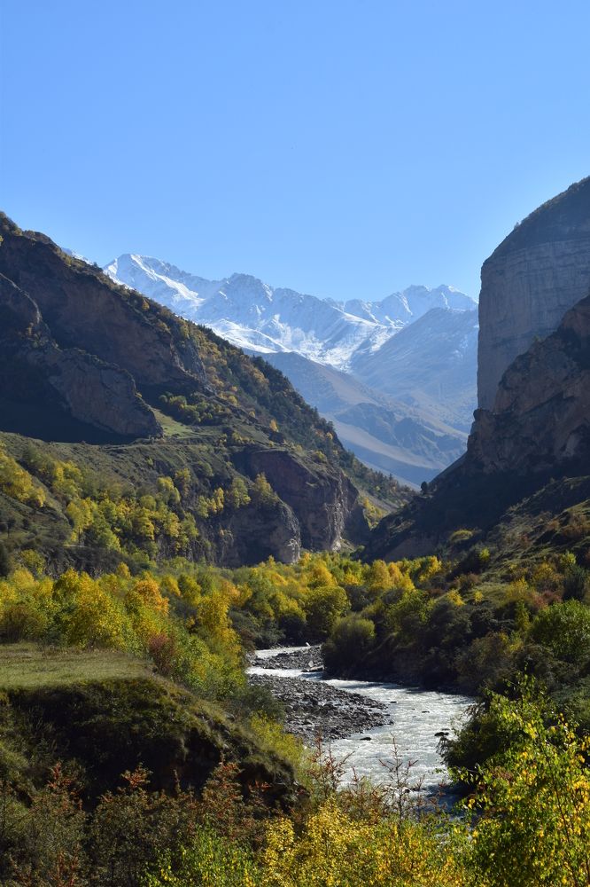 Photograph by Анастасия Гогичаишвили