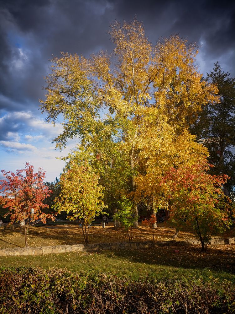 Photograph by Олега Тор