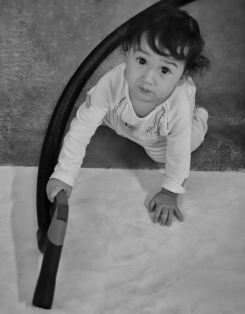 Фотография автора Hamidreza Saedi