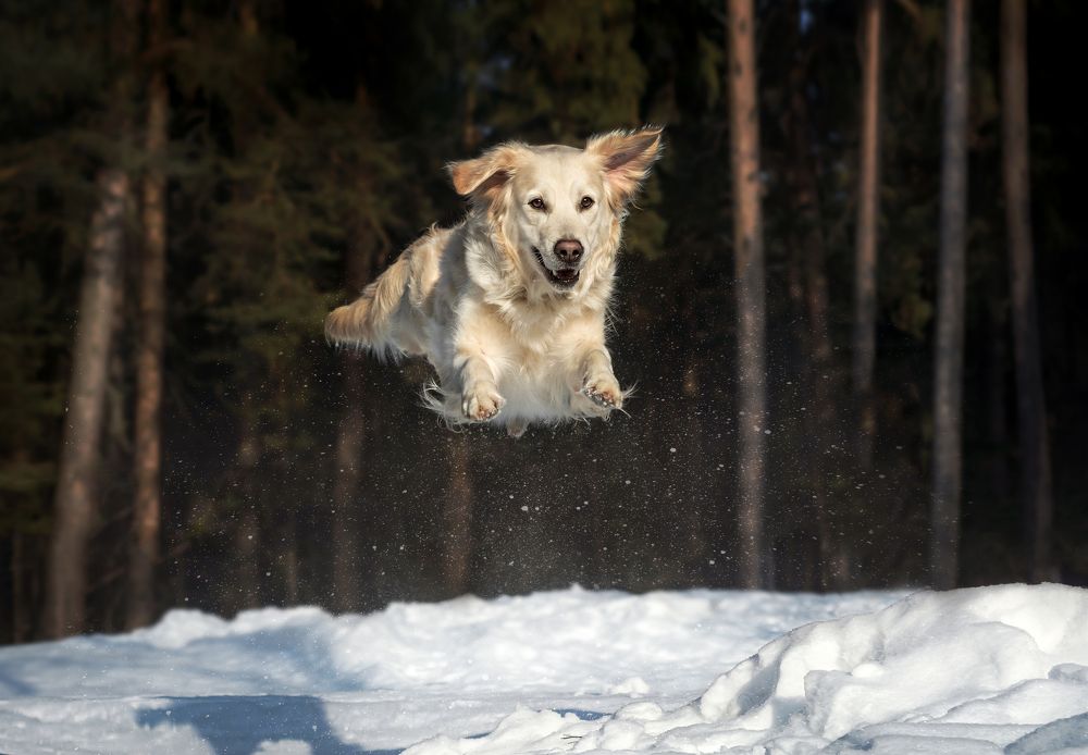 Photograph by Соколова Елена