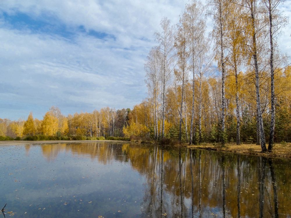 Осеннее утро