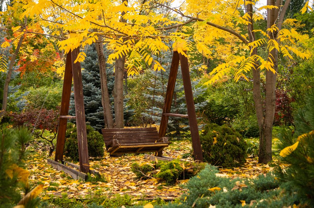 Photograph by Николай Мокшин