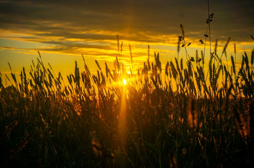 Фотография автора Виталий Гавронский