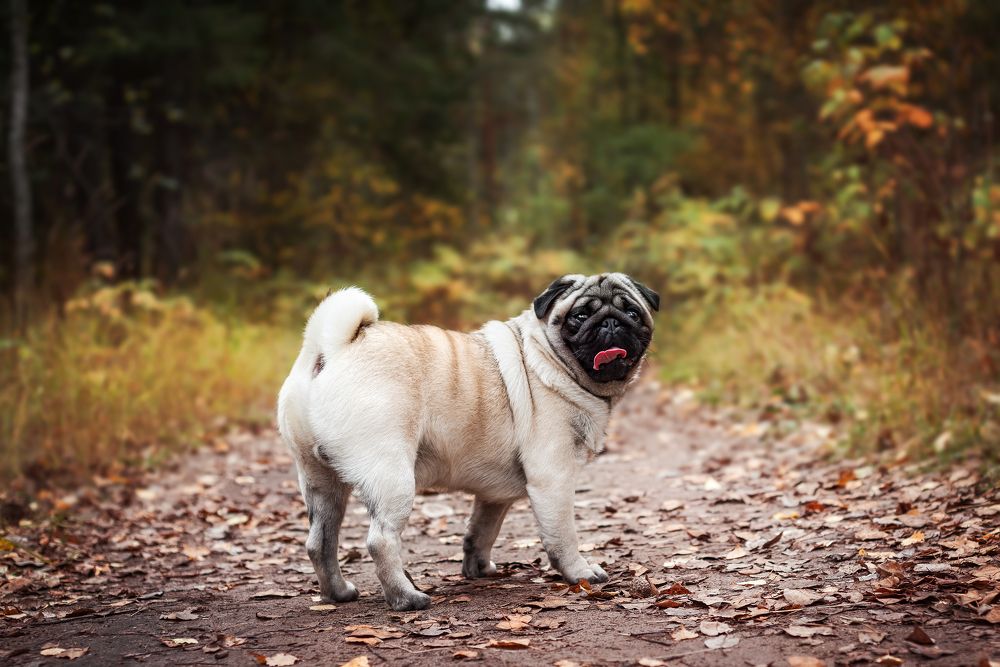 Photograph by Соколова Елена