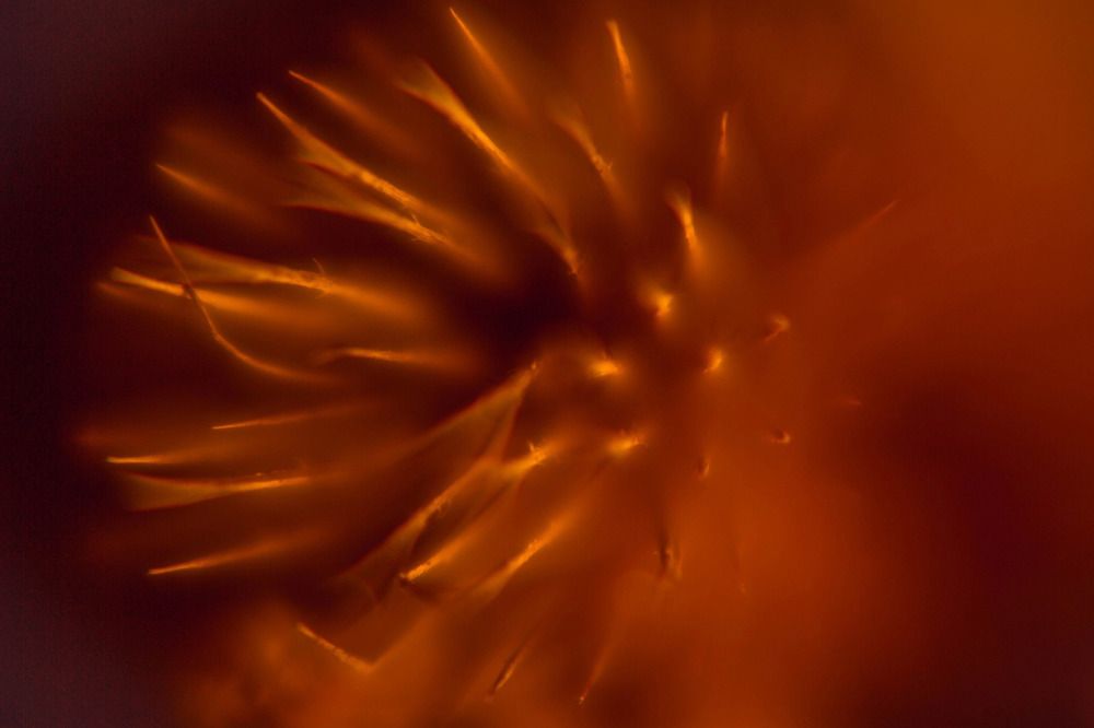 Photograph by Богданова Мария