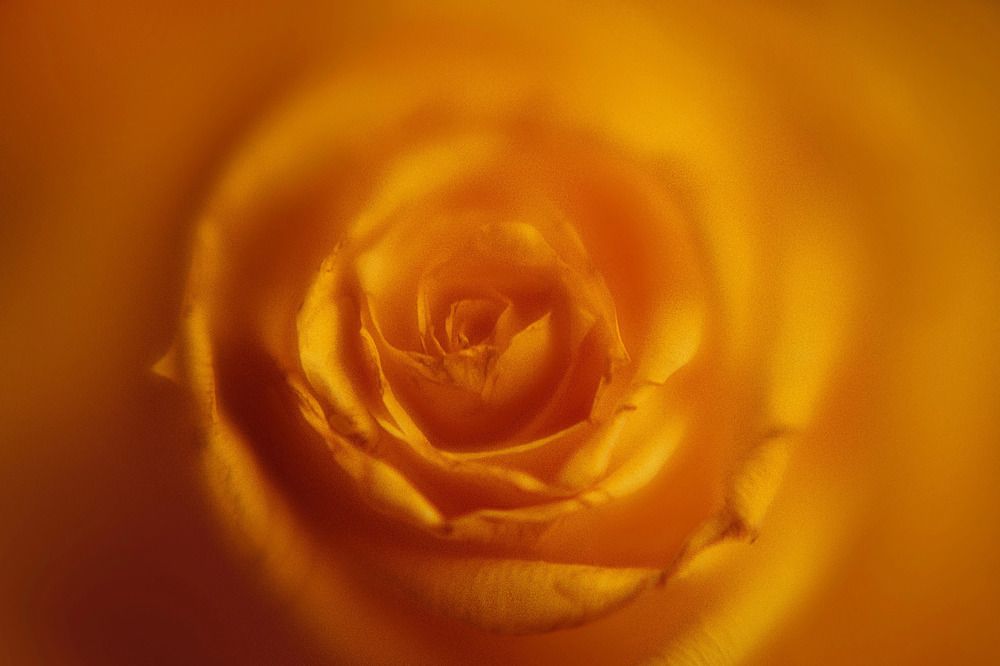 Photograph by Богданова Мария