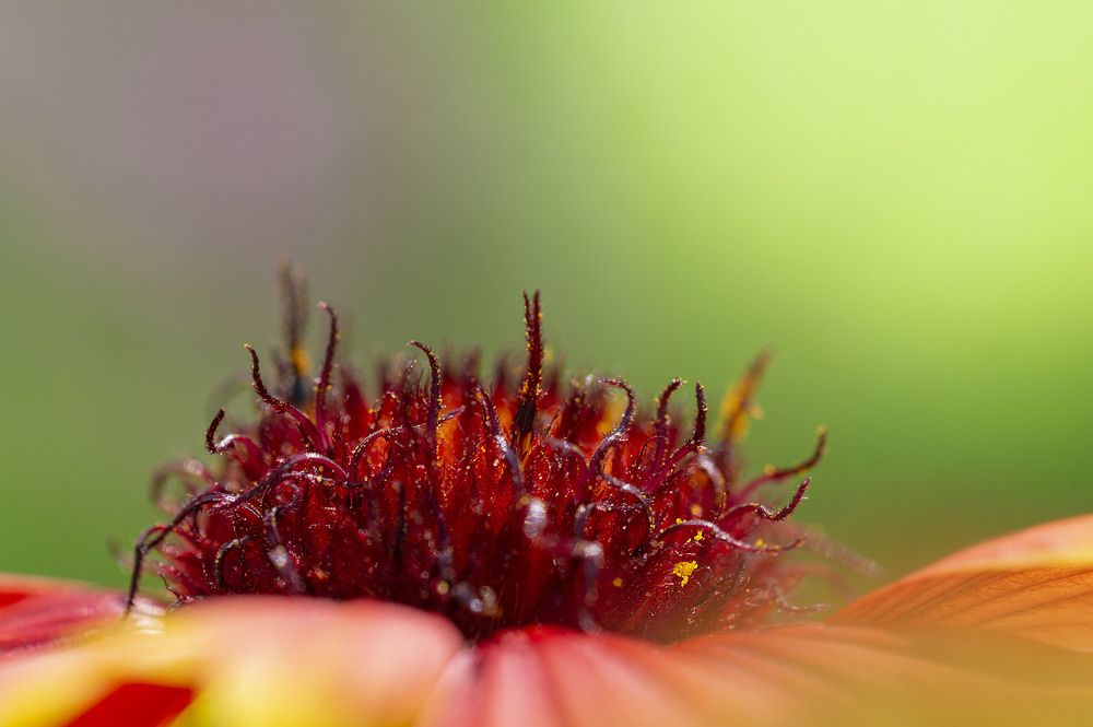 Фотография автора Виталий Сурков