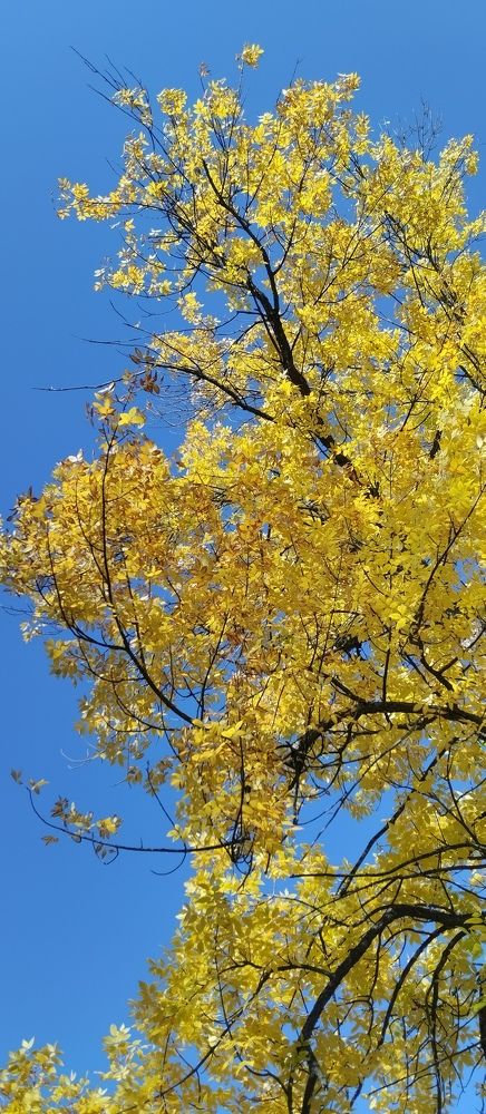 Photograph by Елена Малкова