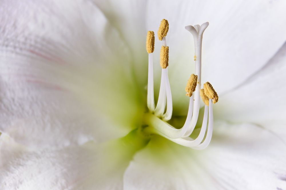 Photograph by Anatoli Weingart