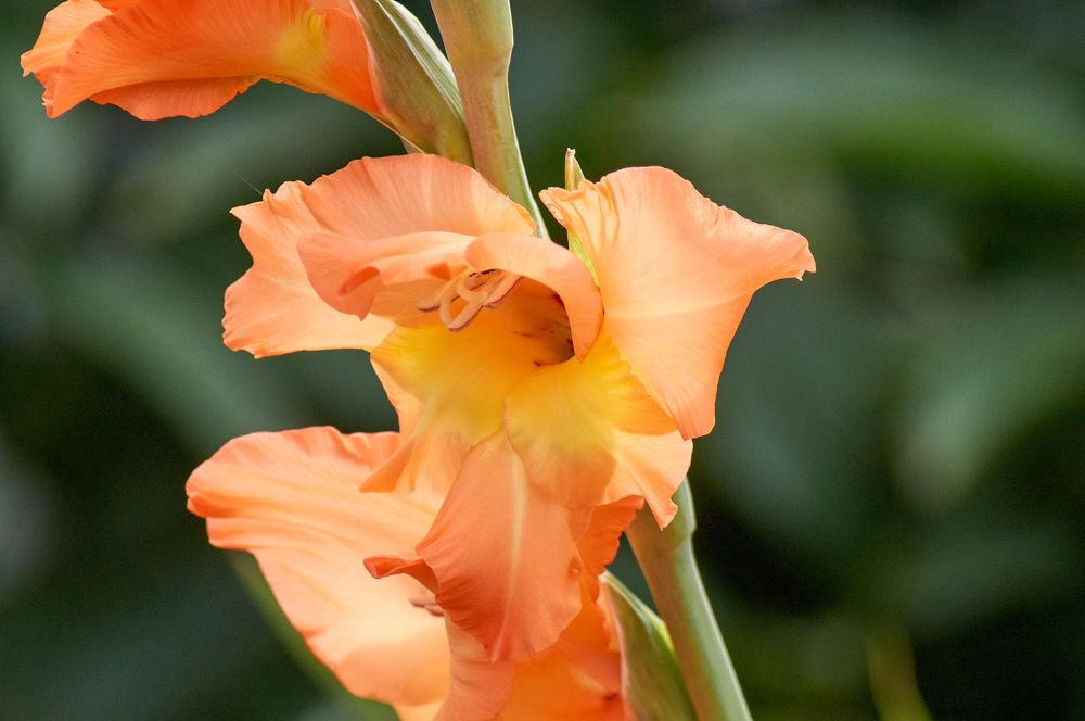 Photograph by Igor Kochkin