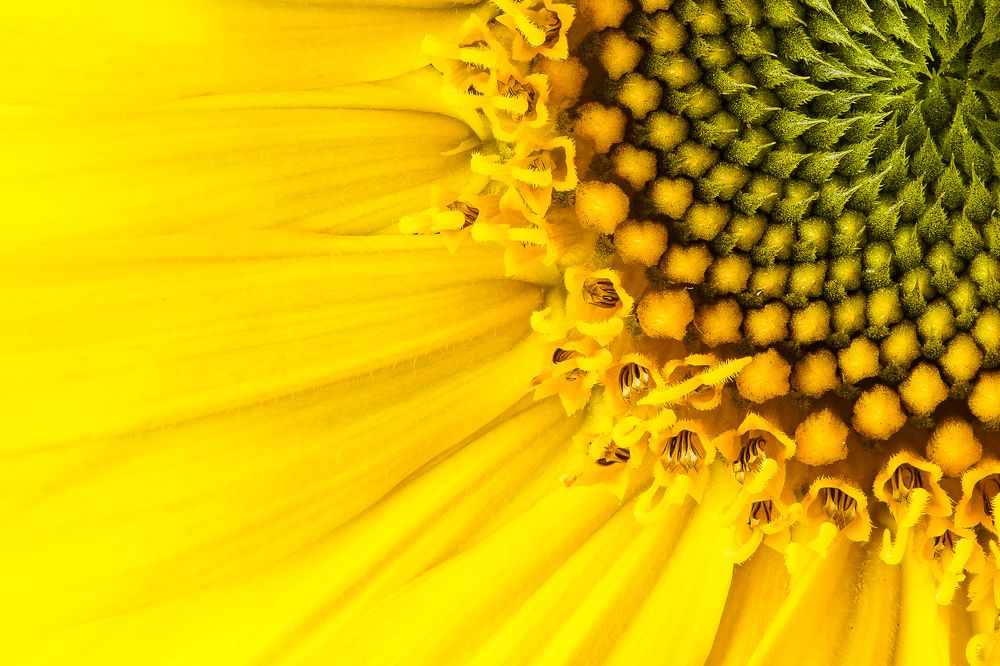 Photograph by Anatoli Weingart