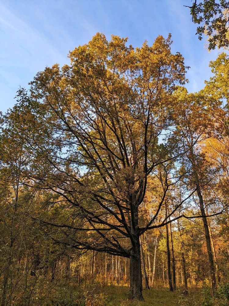 Photograph by Екатерина Чижевская