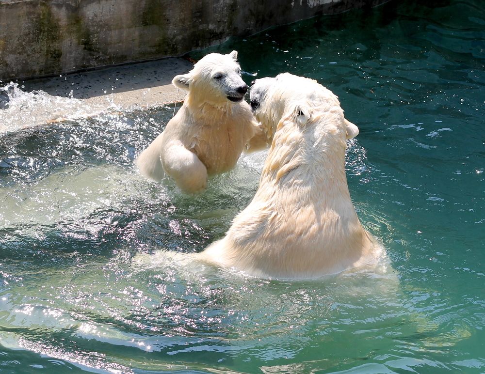 Photograph by Наталья Адалинская