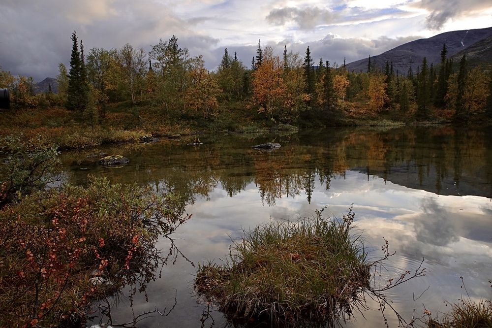 Photograph by Ольга Одаренко