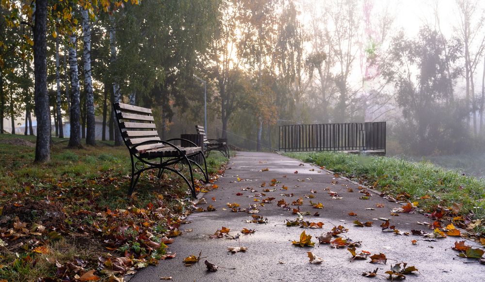 Фотография автора Александр Дюльгер
