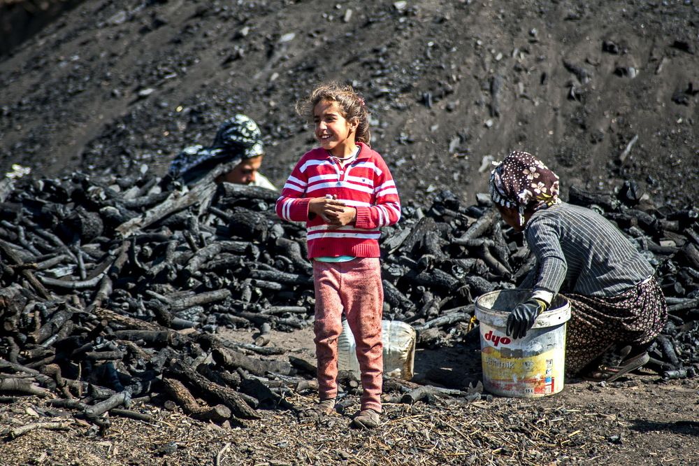 Photograph by DAMOUN POURNEMATI