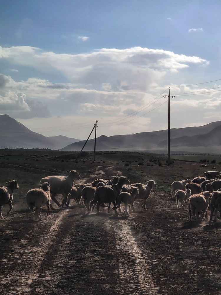 Photograph by Татьяна Соколовская