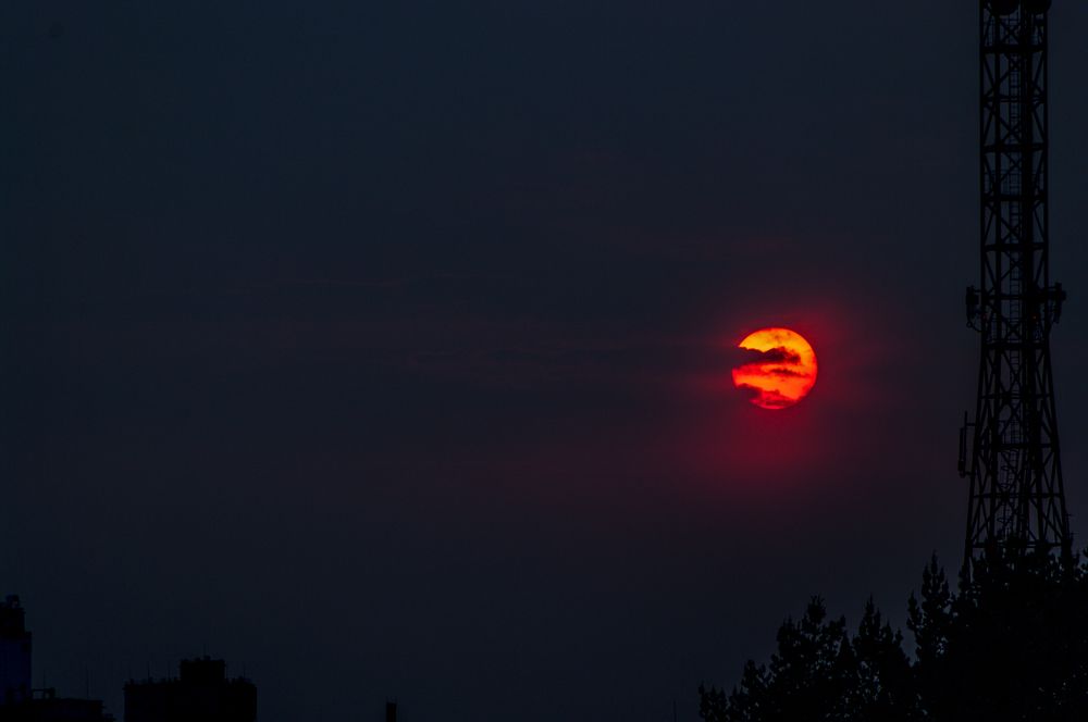 Photograph by Николай Захаров