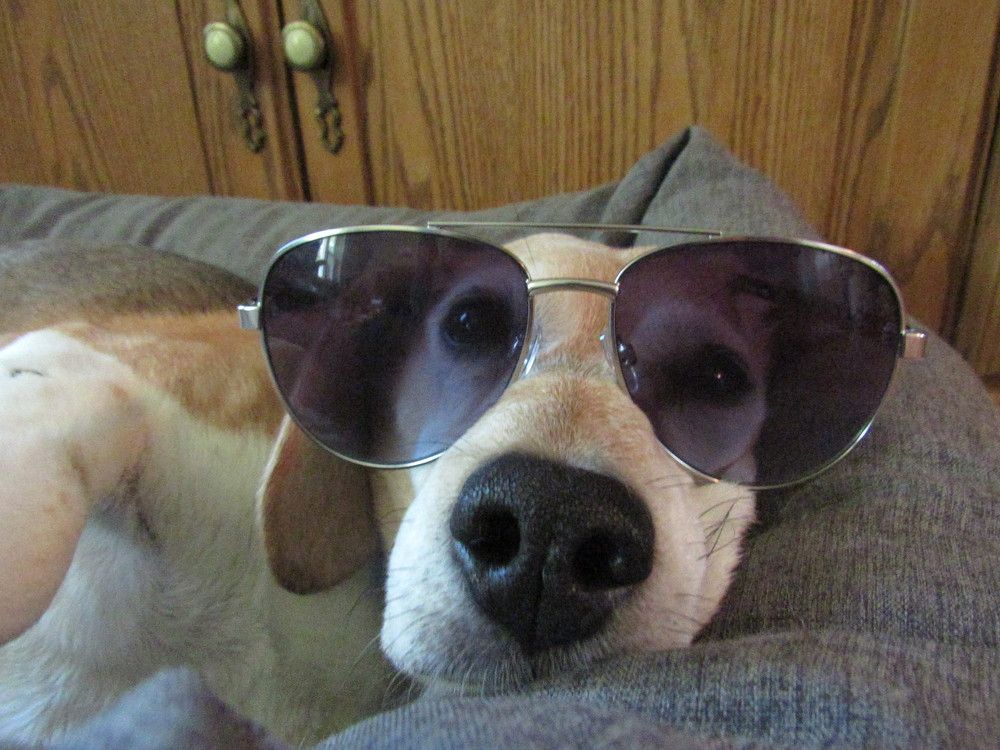 Photograph by Lyndsye Rothkopf