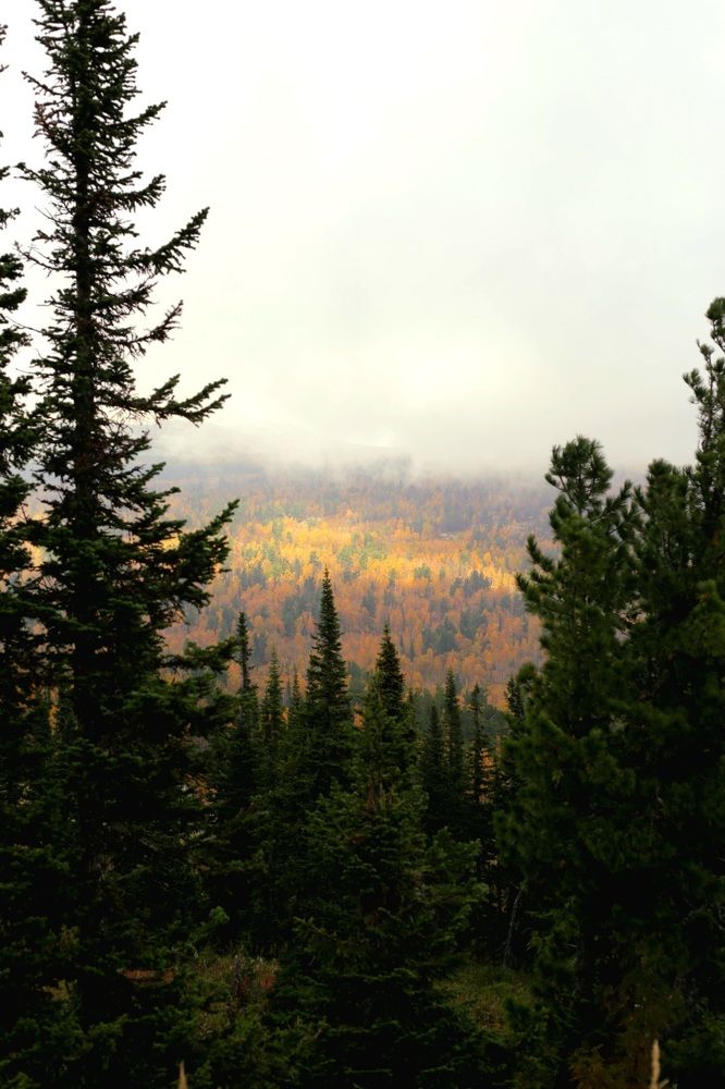 Photograph by Светлана