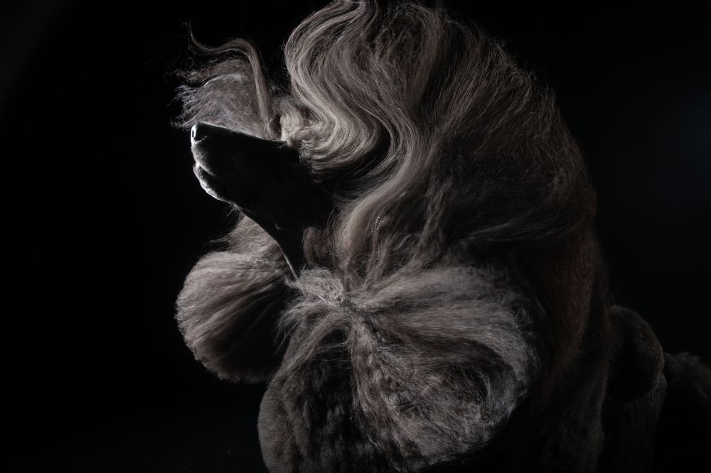 Photograph by Katerina Mumzhinskaya